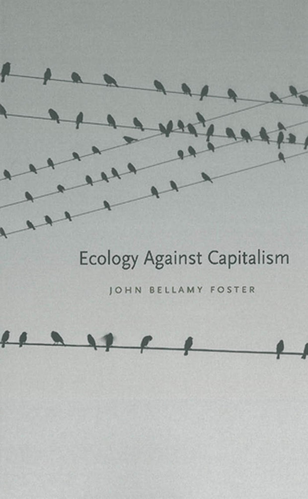 Cover image for Ecology Against Capitalism, isbn: 9781583675083
