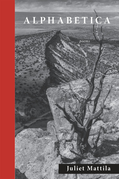 Cover image for Alphabetica, isbn: 9781586541316