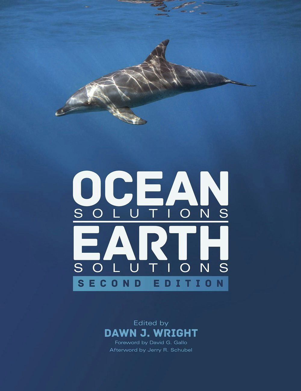 Book cover image for Ocean Solutions, Earth Solutions ISBN: 9781589484658