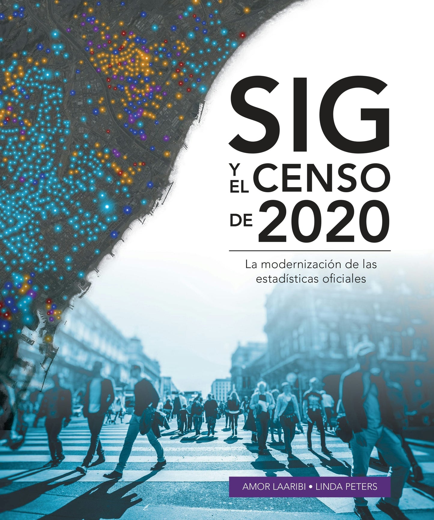 Book cover image for SIG y el Censo de 2020 ISBN: 9781589487697