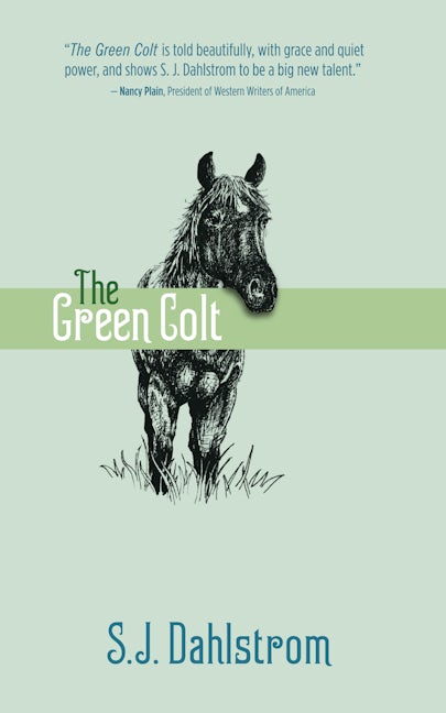 Book cover image for The Green Colt: The Adventures of Wilder Good #4 ISBN: 9781589881143