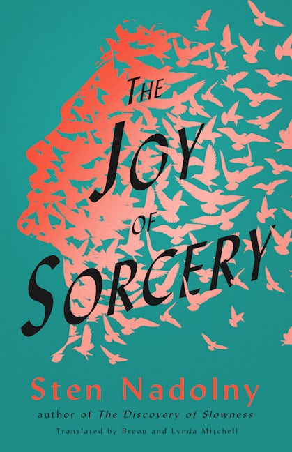 Book cover image for The Joy of Sorcery ISBN: 9781589881464