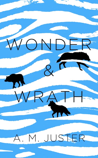 Book cover image for Wonder and Wrath ISBN: 9781589881495