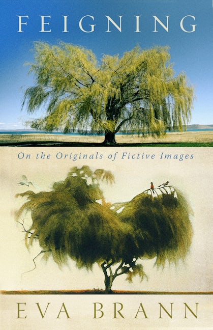 Book cover image for Feigning ISBN: 9781589881617
