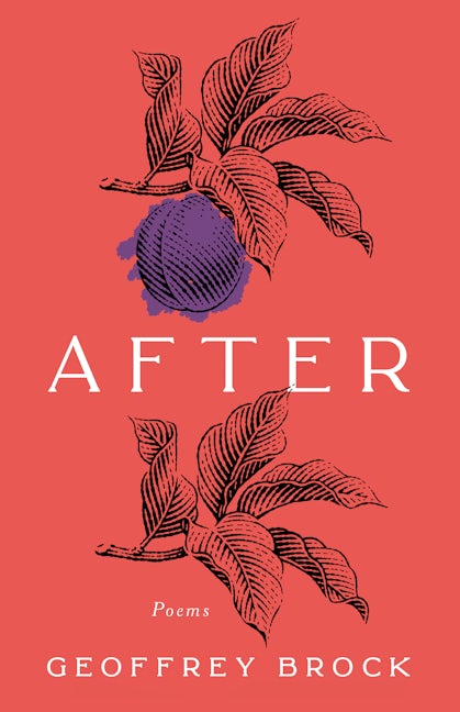 Book cover image for After ISBN: 9781589881877