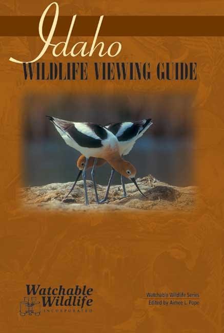 Cover image for Idaho Wildlife Viewing Guide, isbn: 9781591930297