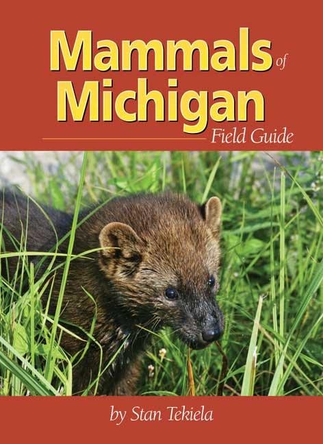 Cover image for Mammals of Michigan Field Guide, isbn: 9781591931119