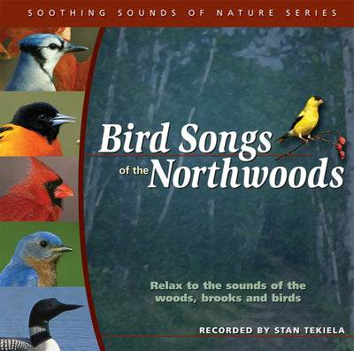 Cover image for Bird Songs of the Northwoods, isbn: 9781591931195
