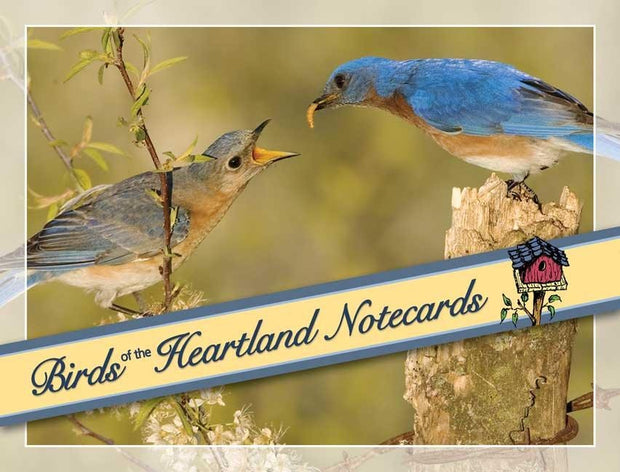 Cover image for Birds of the Heartland Notecards, isbn: 9781591931676