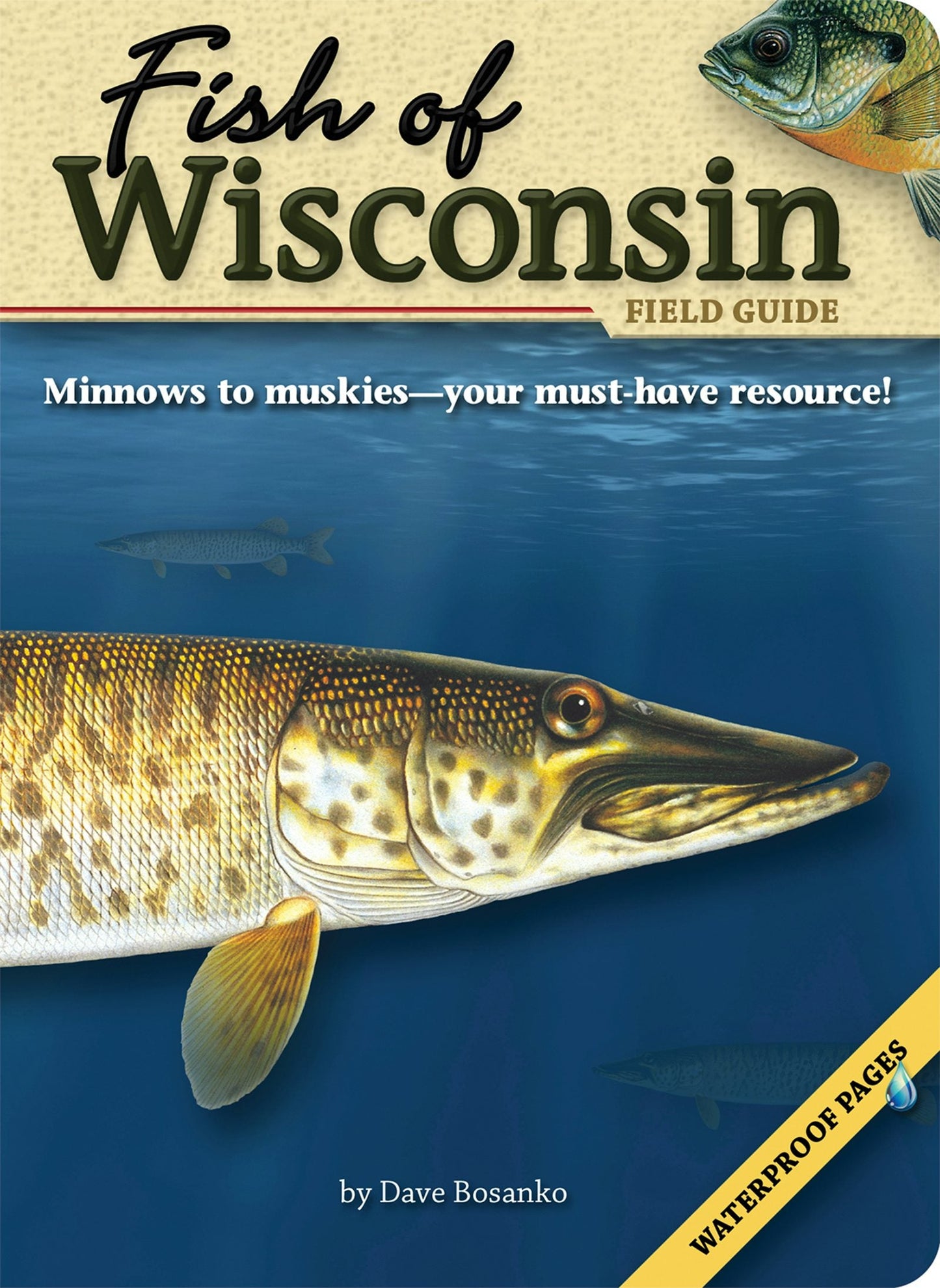 Book cover image for Fish of Wisconsin Field Guide ISBN: 9781591931942