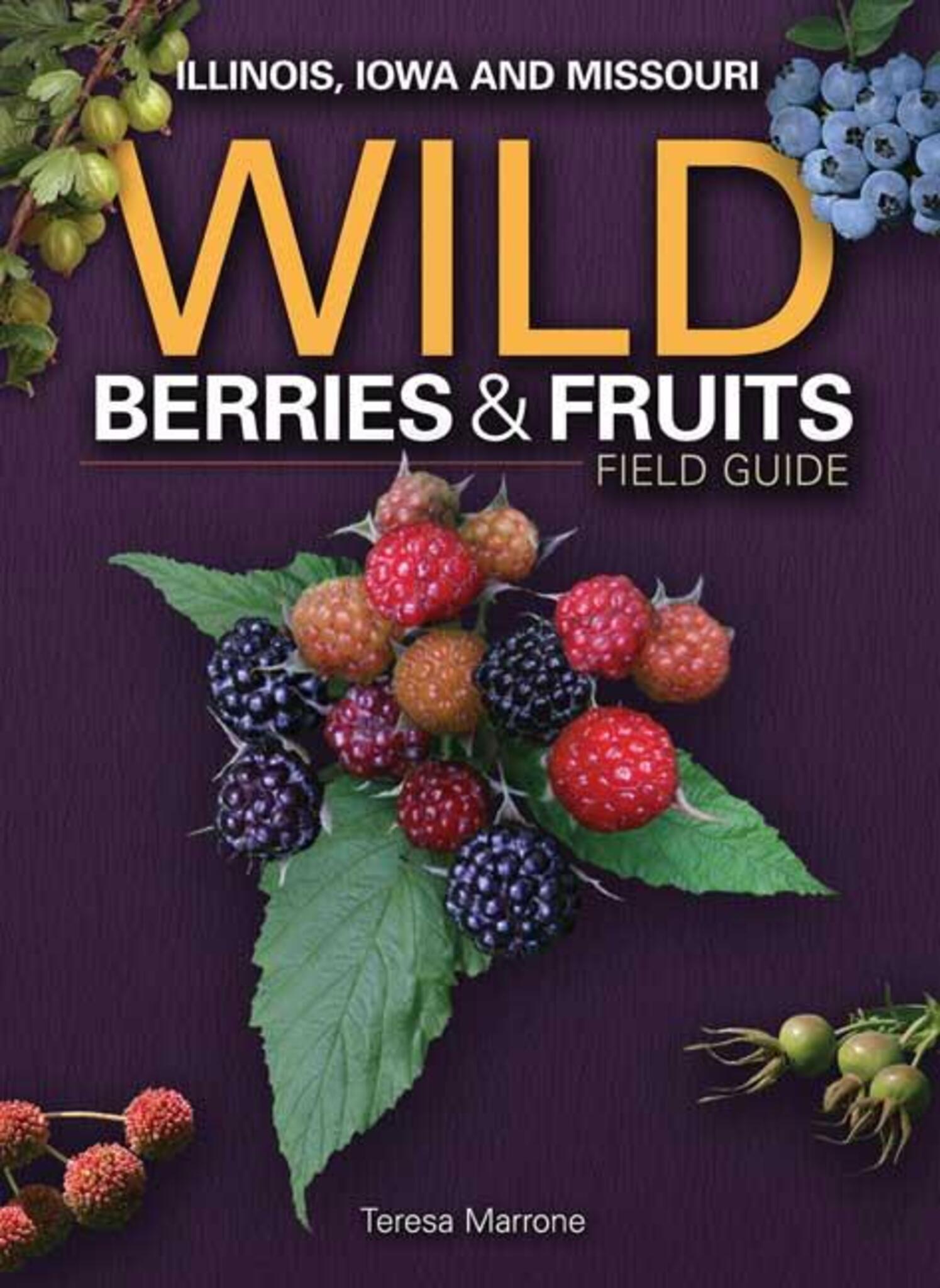 Cover image for Wild Berries & Fruits Field Guide of Illinois, Iowa and Missouri ISBN 9781591932482