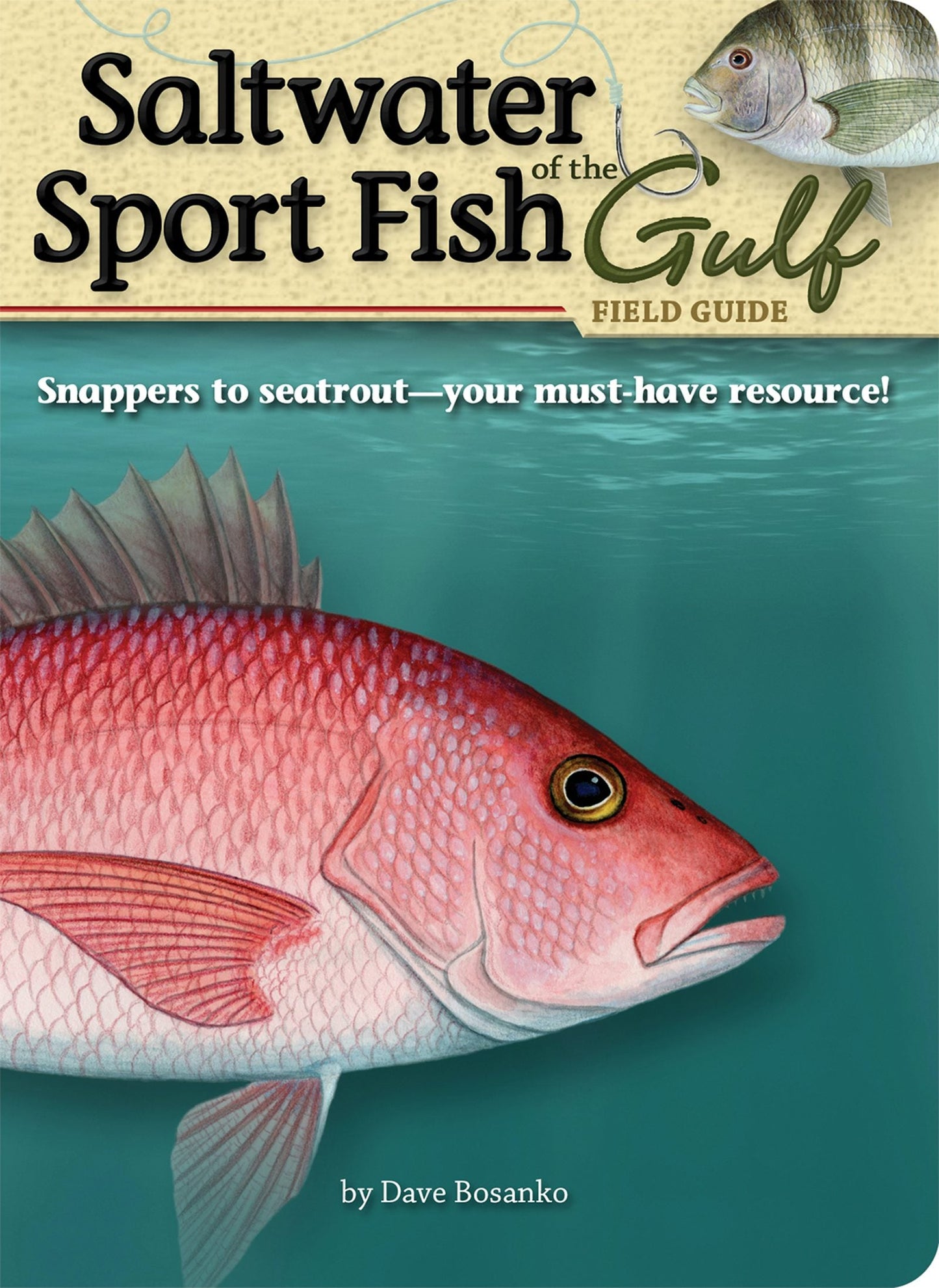 Book cover image for Saltwater Sport Fish of the Gulf Field Guide ISBN: 9781591932543