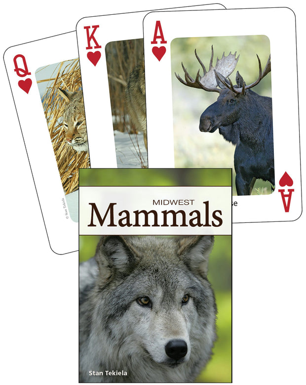 Cover image for Mammals of the Midwest Playing Cards, isbn: 9781591932840