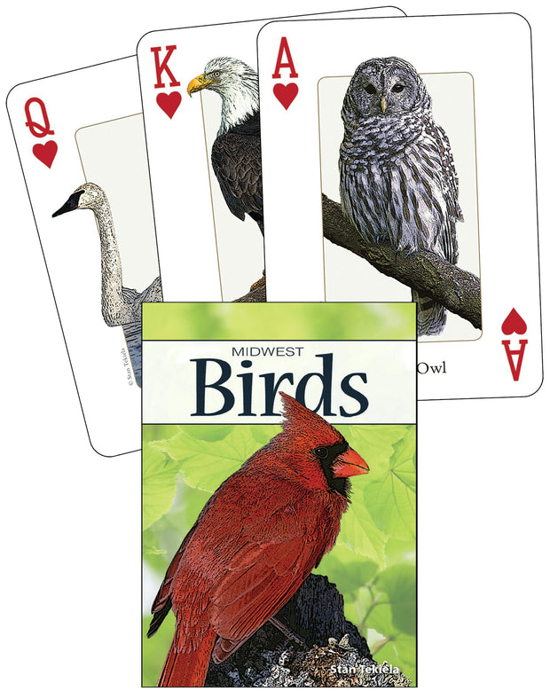 Cover image for Birds of the Midwest Playing Cards, isbn: 9781591932857