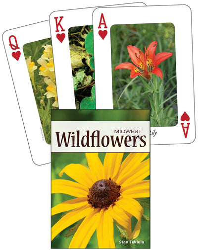 Cover image for Wildflowers of the Midwest Playing Cards, isbn: 9781591932871