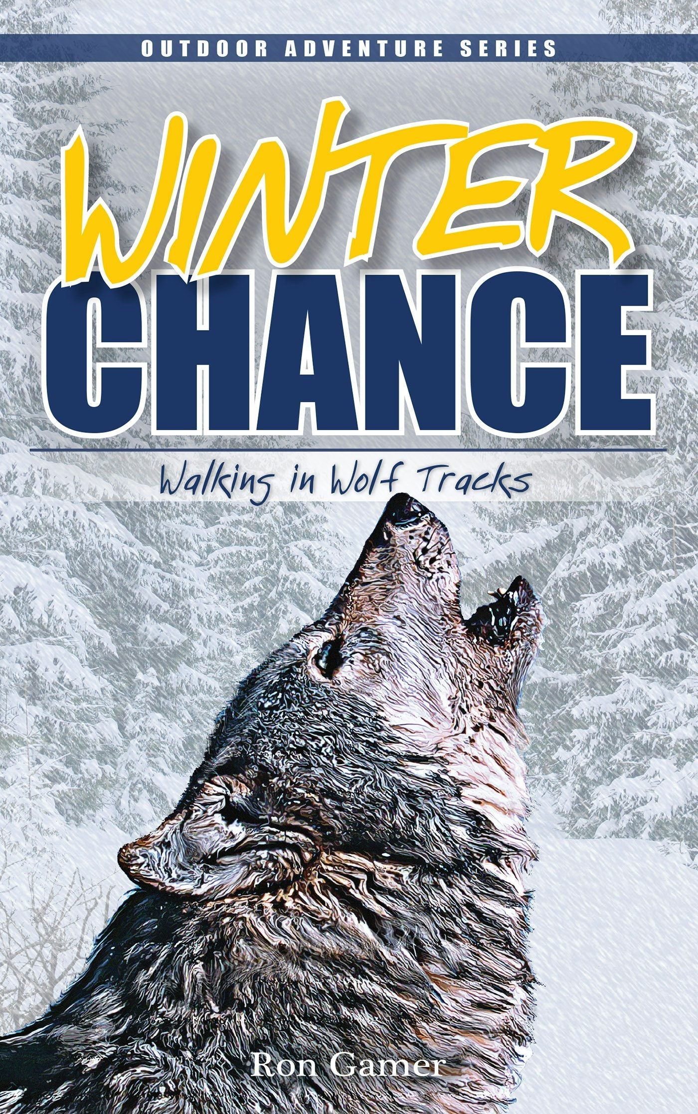 Book cover image for Winter Chance ISBN: 9781591933366