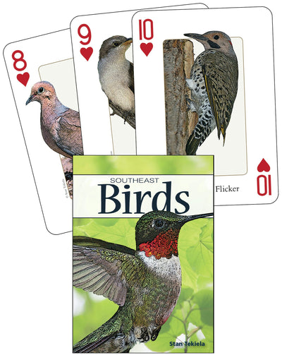 Cover image for Birds of the Southeast Playing Cards, isbn: 9781591933595