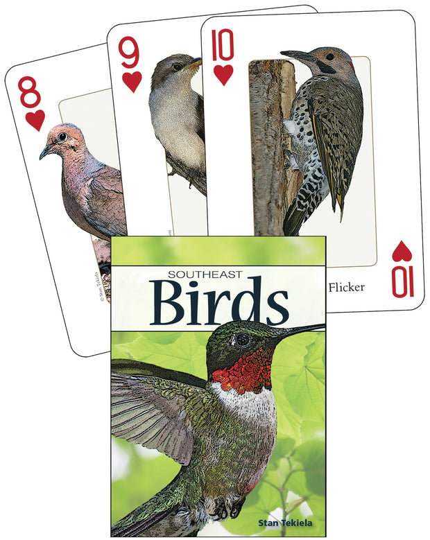 Cover image for Birds of the Southeast Playing Cards, isbn: 9781591933595