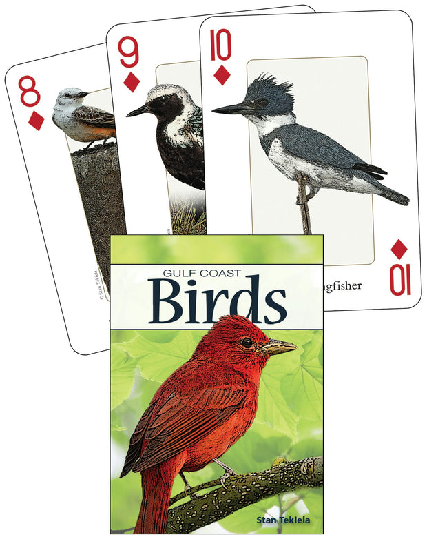 Cover image for Birds of the Gulf Coast Playing Cards, isbn: 9781591933601