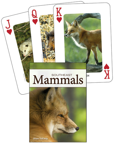 Cover image for Mammals of the Southeast Playing Cards, isbn: 9781591933625