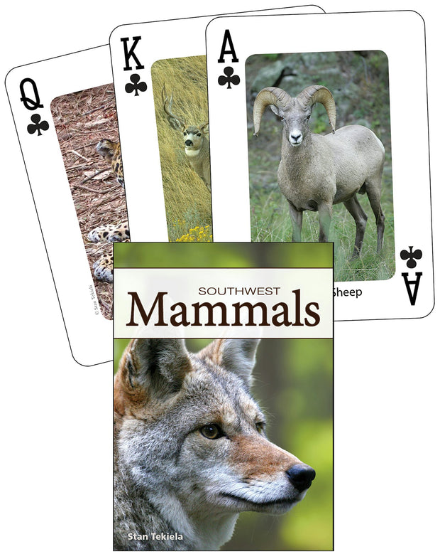 Cover image for Mammals of the Southwest Playing Cards, isbn: 9781591933649