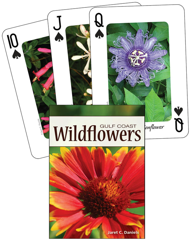 Cover image for Wildflowers of the Gulf Coast Playing Cards, isbn: 9781591933694