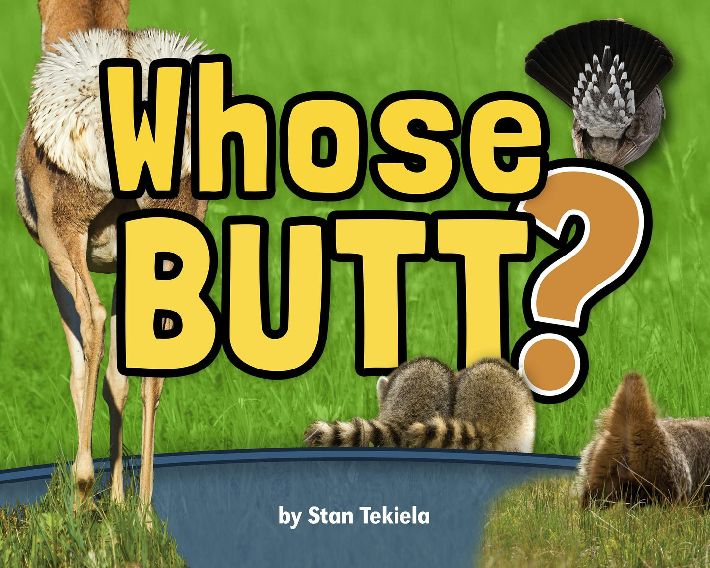 Book cover image for Whose Butt? ISBN: 9781591933748