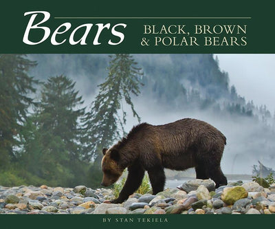 Cover image for Bears, isbn: 9781591933786