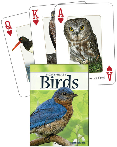 Cover image for Birds of the Northeast Playing Cards, isbn: 9781591933854