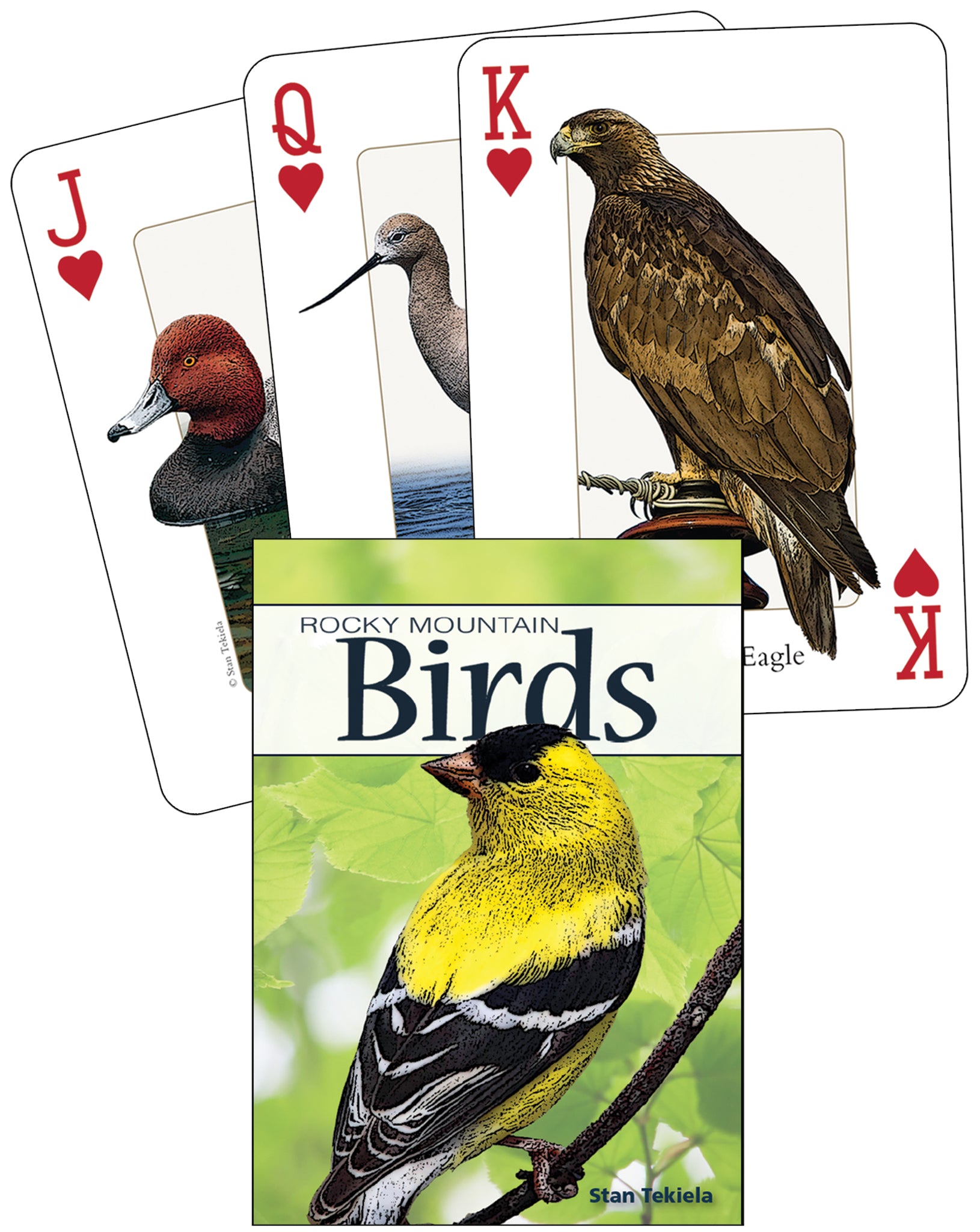 Cover image for Birds of the Rocky Mountains Playing Cards ISBN 9781591933878