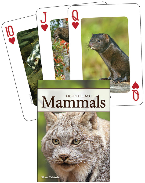 Cover image for Mammals of the Northeast Playing Cards, isbn: 9781591933885