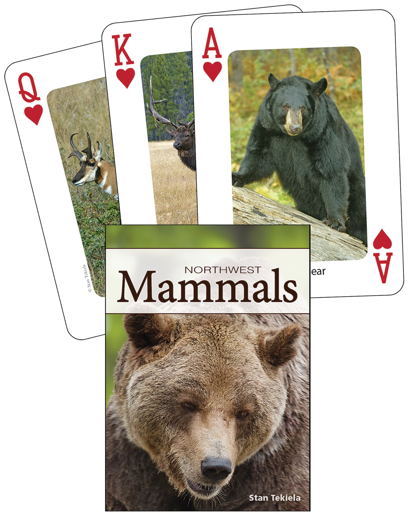 Cover image for Mammals of the Northwest Playing Cards ISBN 9781591933892