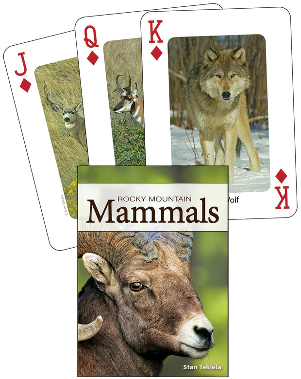 Cover image for Mammals of the Rocky Mountains Playing Cards, isbn: 9781591933908