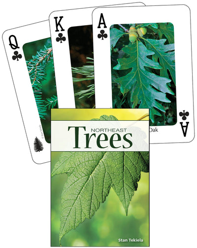 Cover image for Trees of the Northeast Playing Cards, isbn: 9781591933915