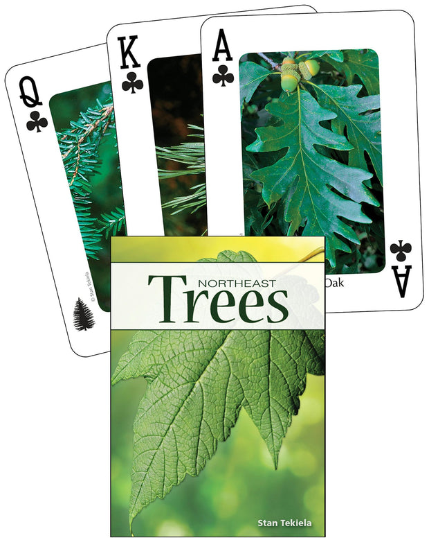 Cover image for Trees of the Northeast Playing Cards, isbn: 9781591933915