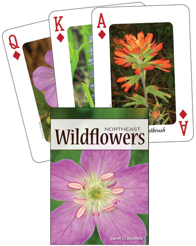 Cover image for Wildflowers of the Northeast Playing Cards, isbn: 9781591933946