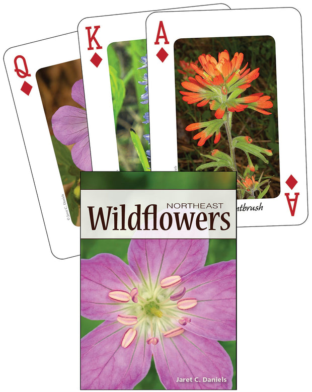 Cover image for Wildflowers of the Northeast Playing Cards, isbn: 9781591933946