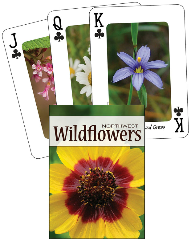 Cover image for Wildflowers of the Northwest Playing Cards, isbn: 9781591933953