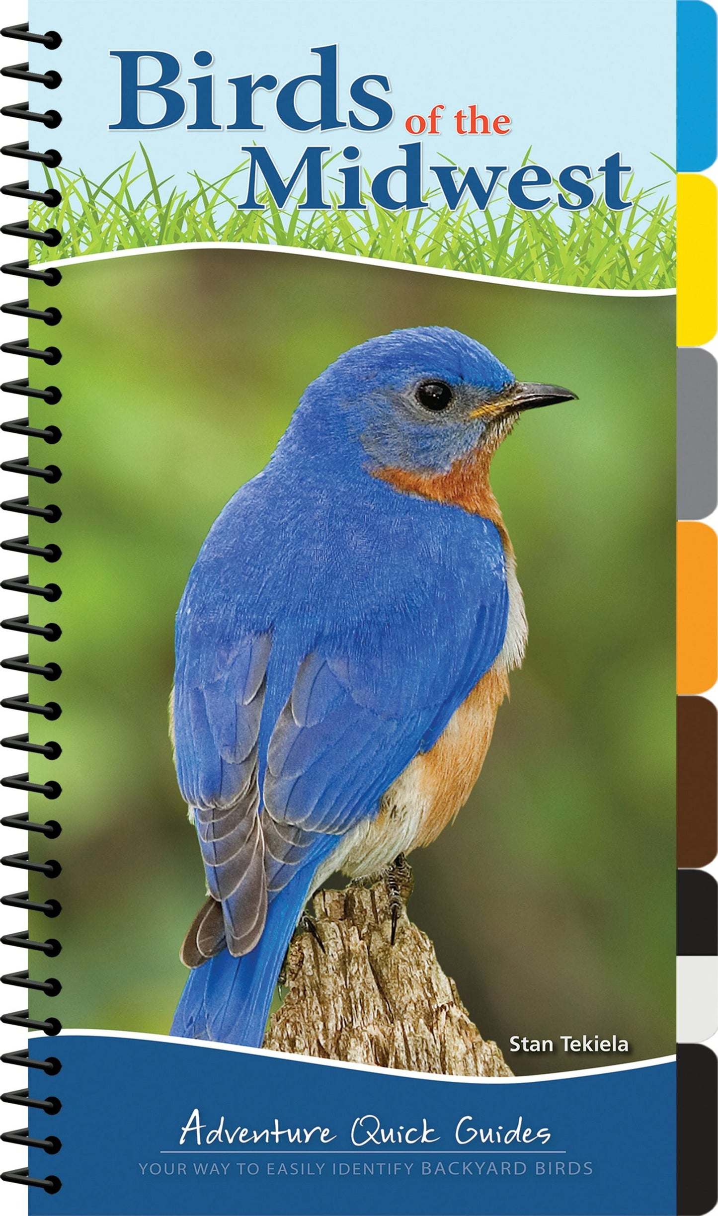 Book cover image for Birds of the Midwest ISBN: 9781591934066