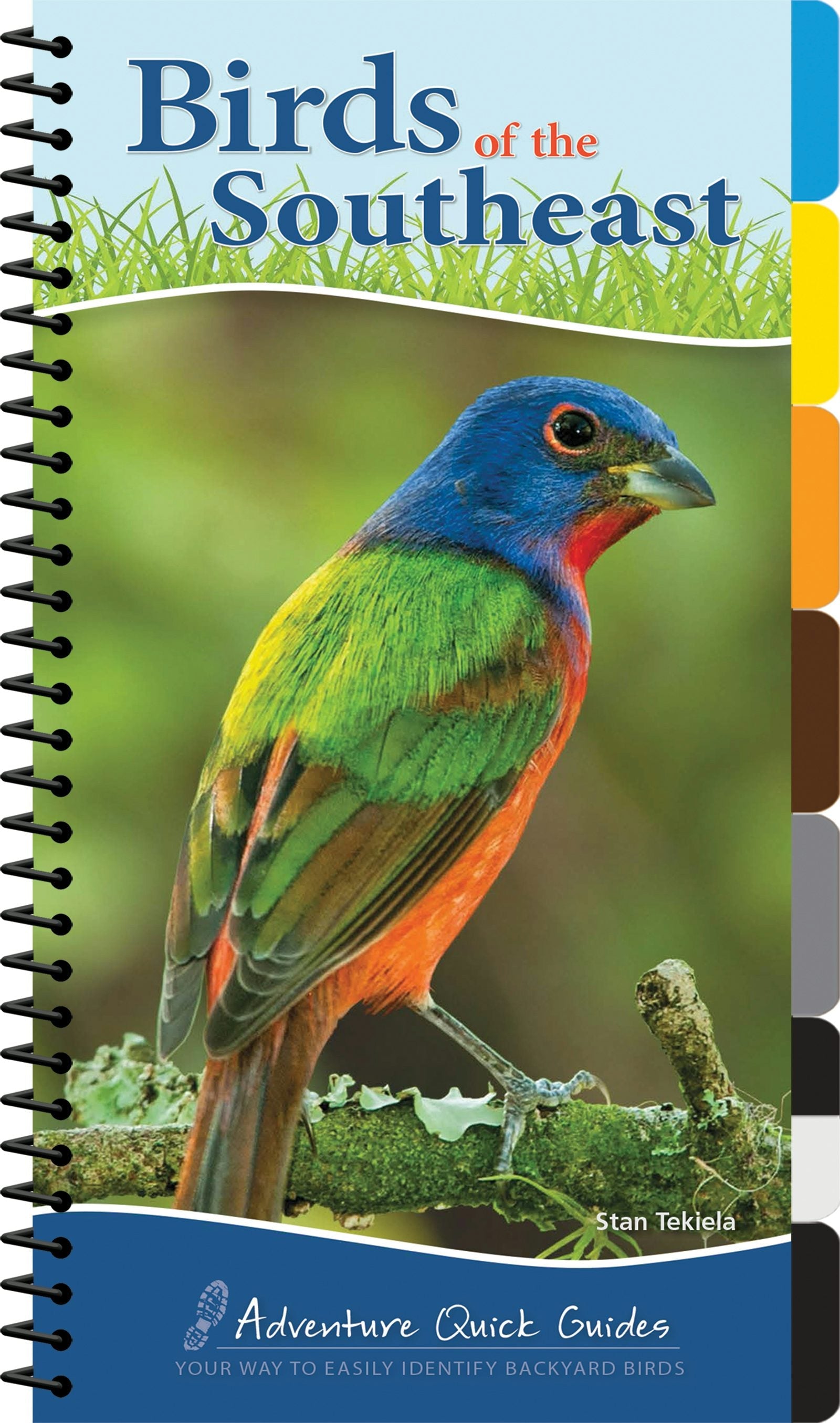 Book cover image for Birds of the Southeast ISBN: 9781591934080
