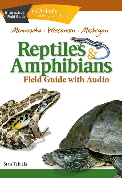Cover image for Reptiles & Amphibians of Minnesota, Wisconsin and Michigan Field Guide, isbn: 9781591934622