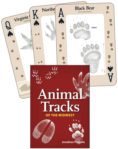 Cover image for Animal Tracks of the Midwest Playing Cards, isbn: 9781591934875