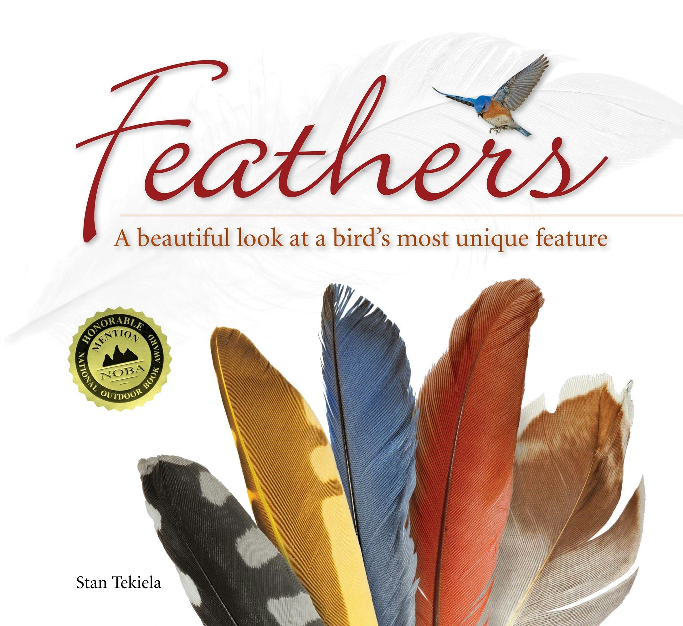 Book cover image for Feathers ISBN: 9781591934974