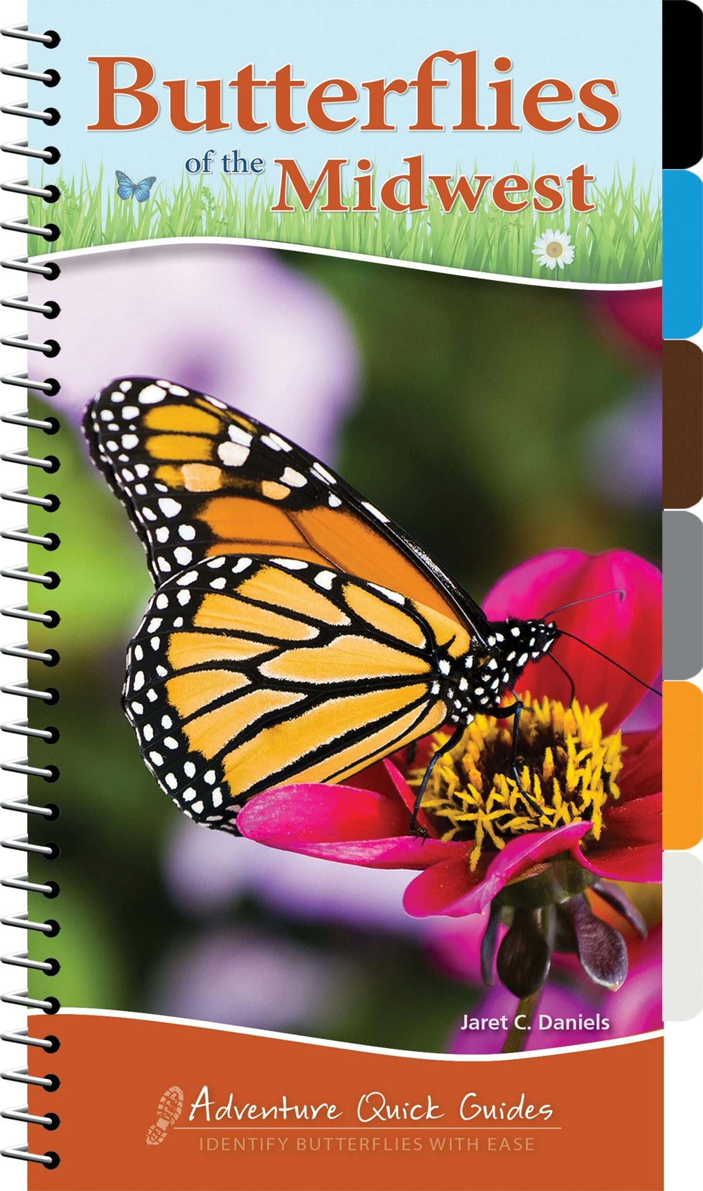 Book cover image for Butterflies of the Midwest ISBN: 9781591935209