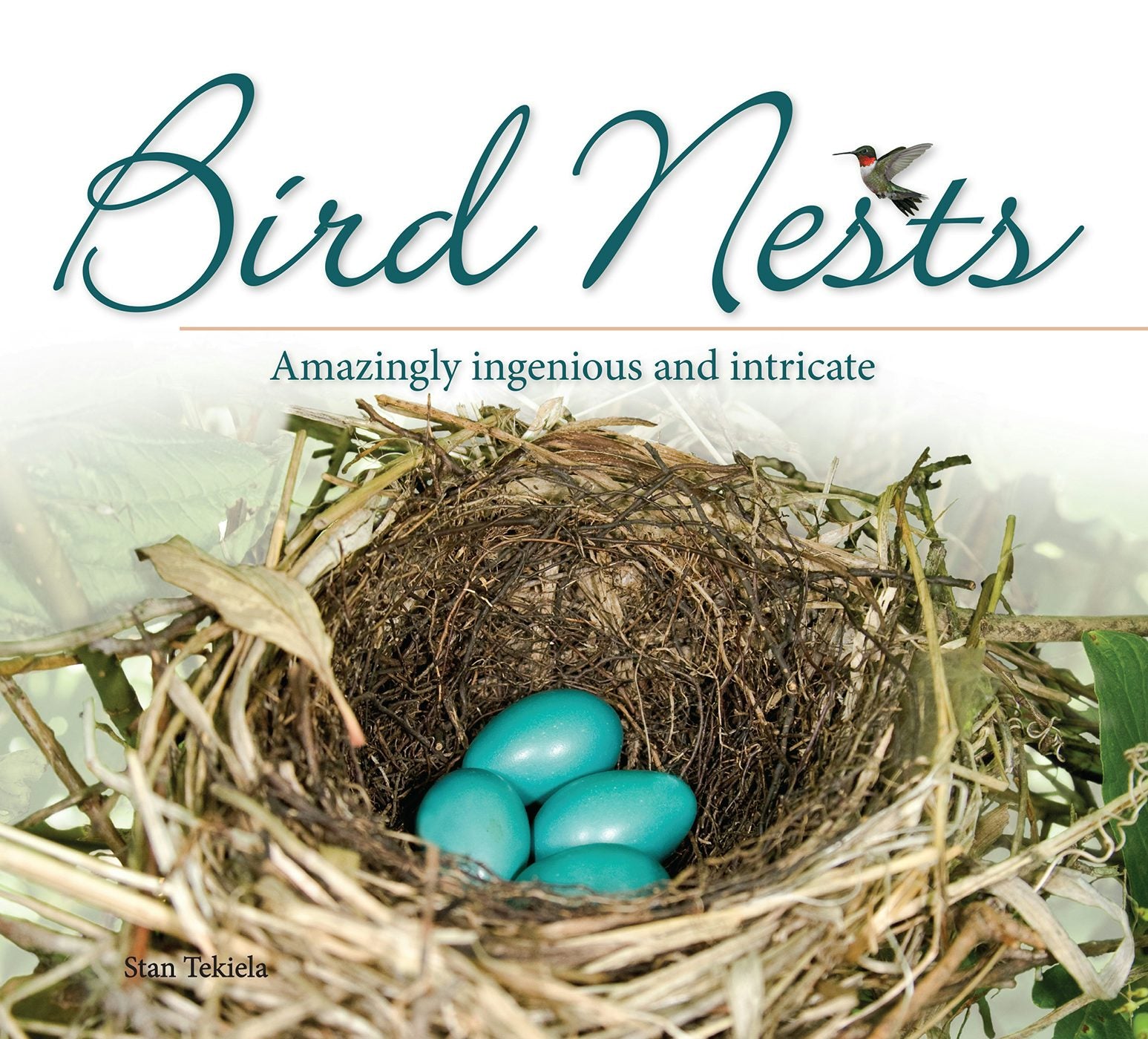 Book cover image for Bird Nests ISBN: 9781591935223