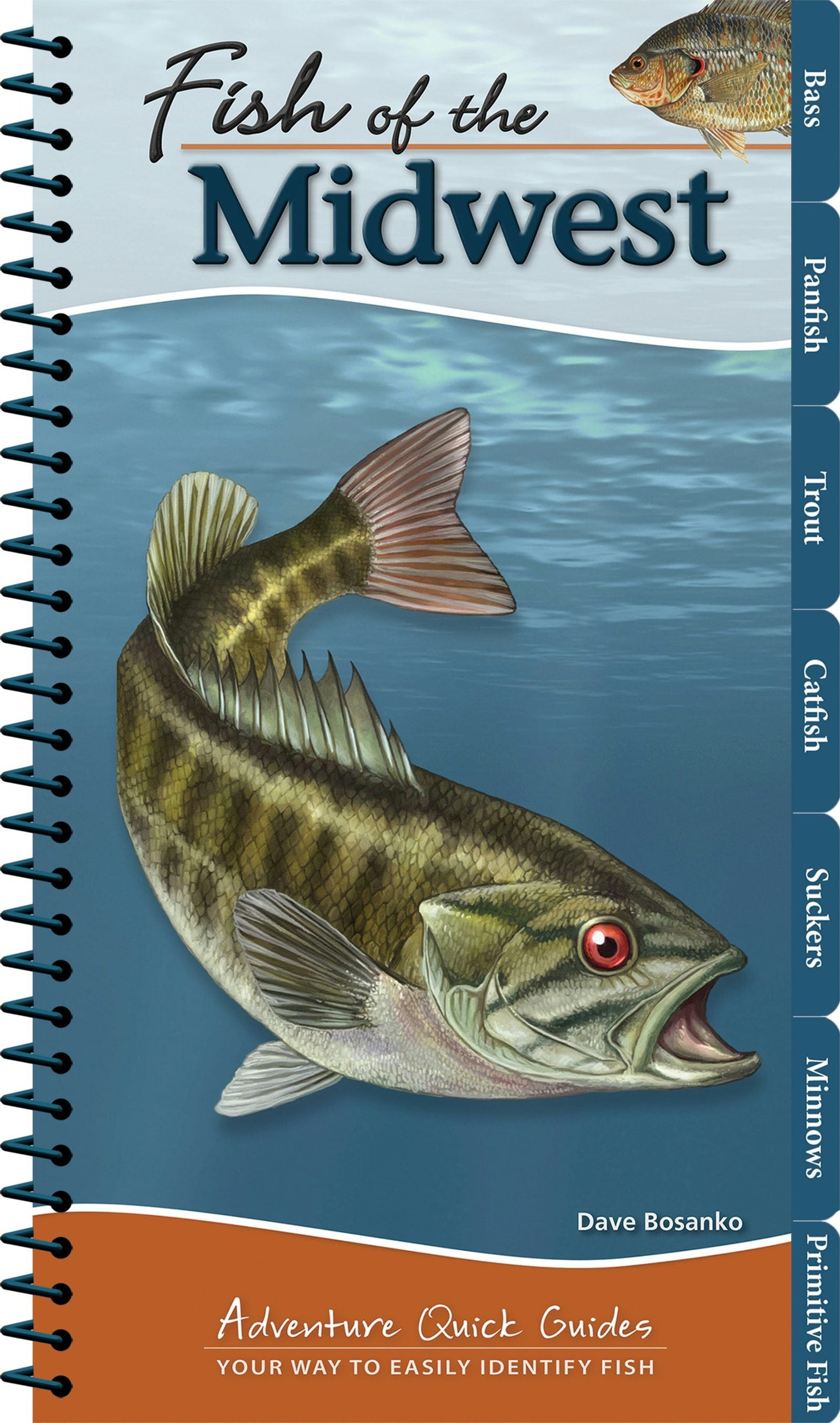 Book cover image for Fish of the Midwest ISBN: 9781591935834