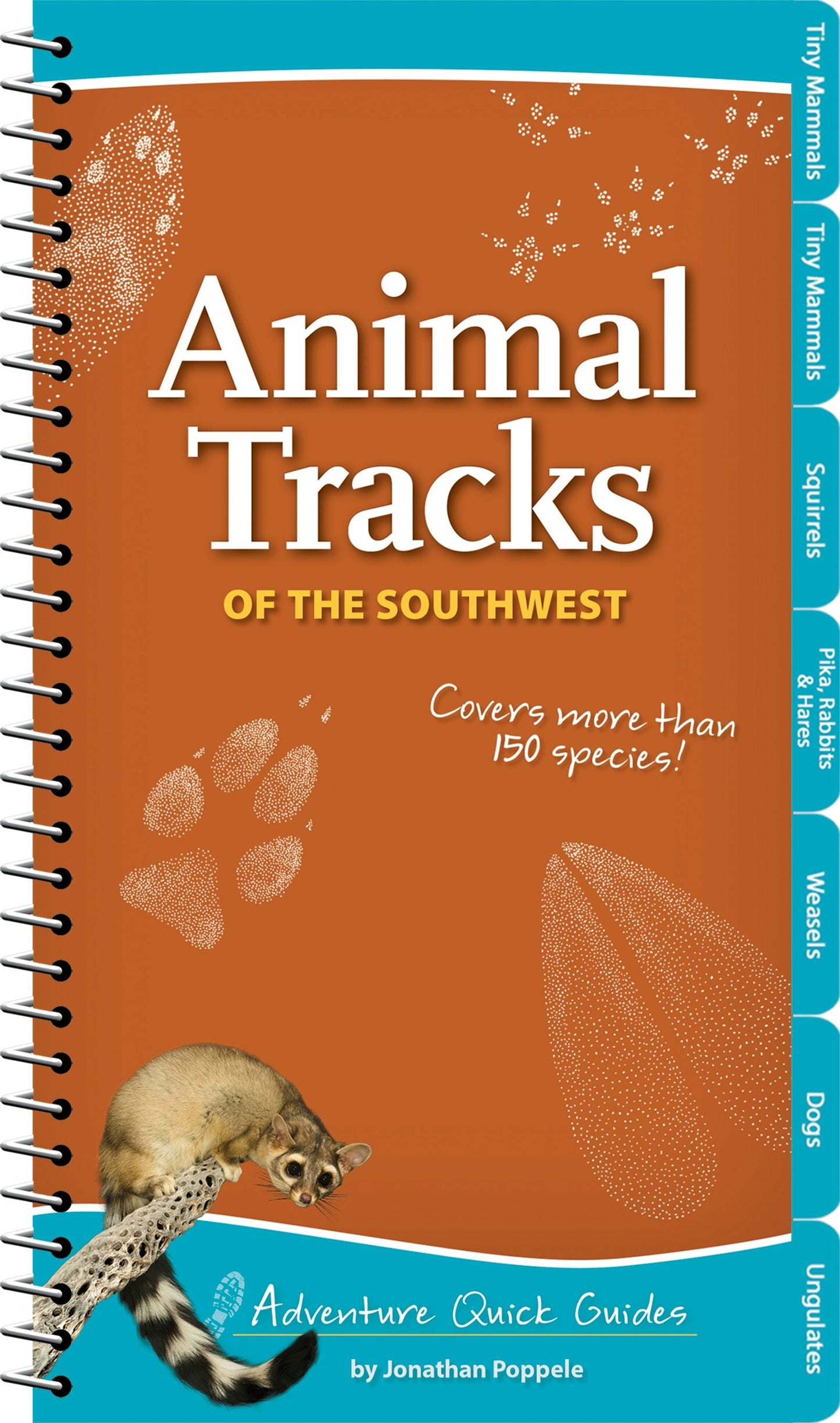 Book cover image for Animal Tracks of the Southwest ISBN: 9781591935872