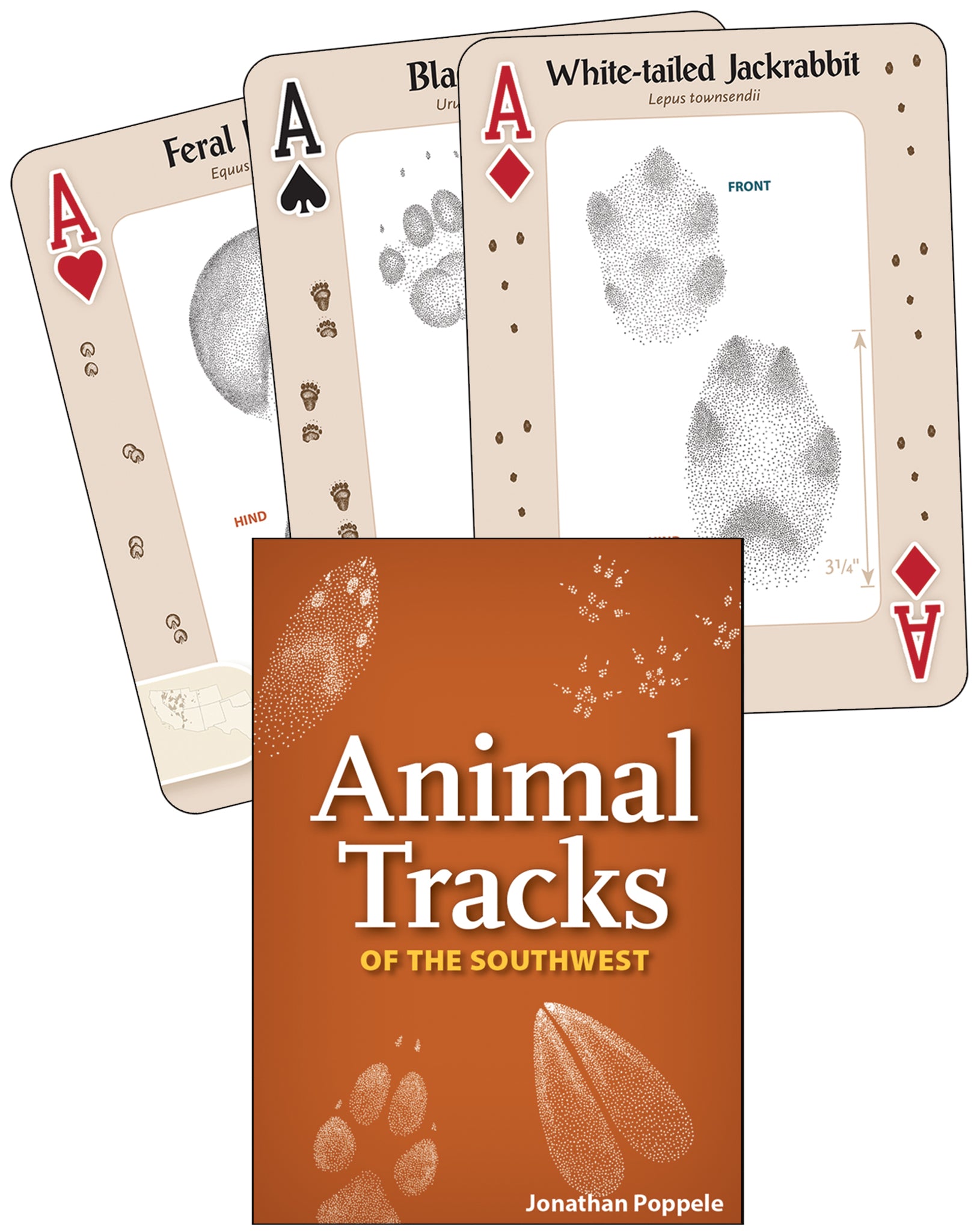 Cover image for Animal Tracks of the Southwest Playing Cards ISBN 9781591935889