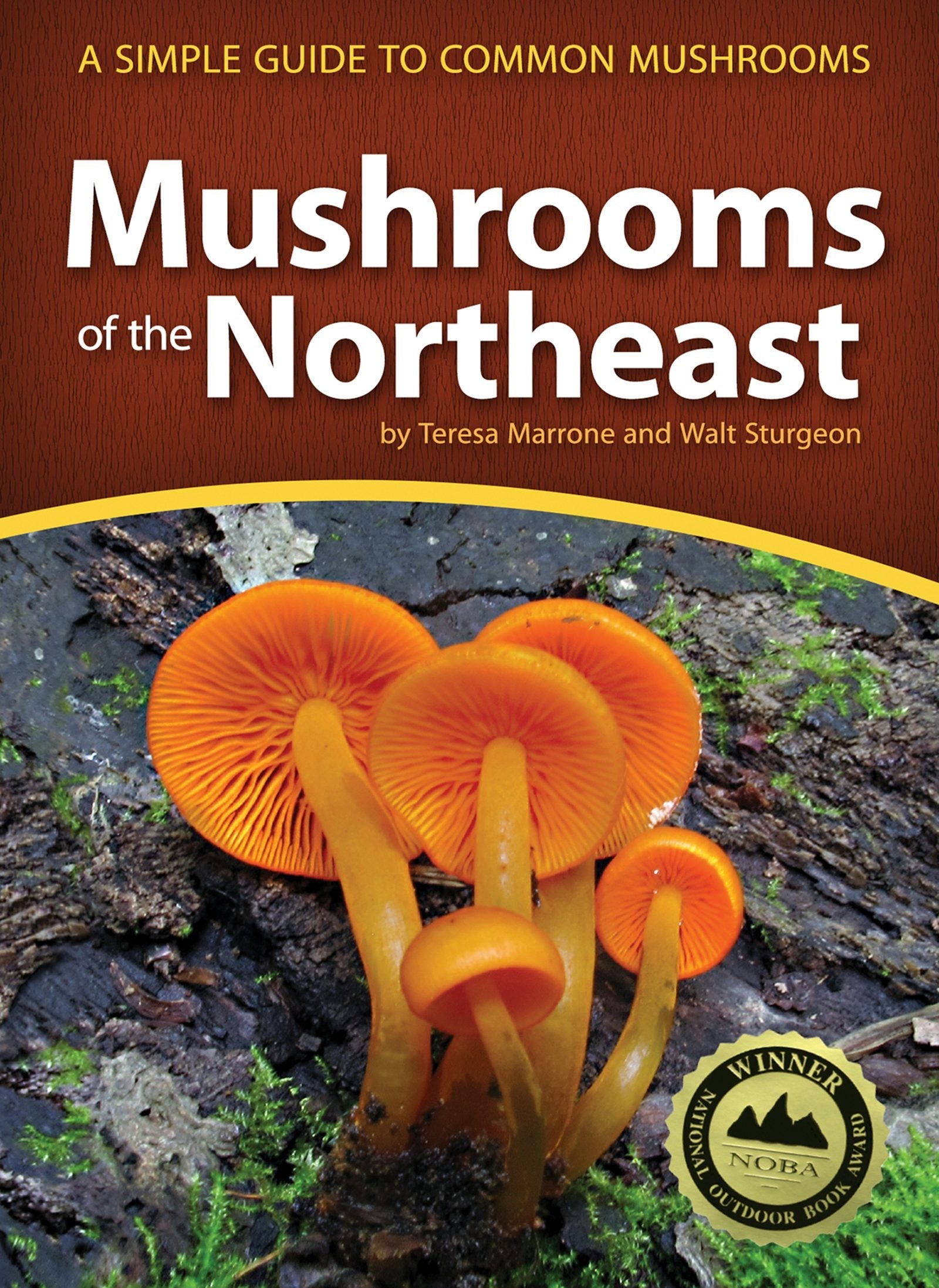 Book cover image for Mushrooms of the Northeast ISBN: 9781591935919