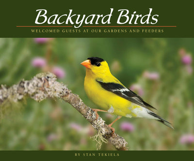 Cover image for Backyard Birds, isbn: 9781591936411